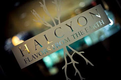 Halcyon Restaurant - Flavors from the Earth