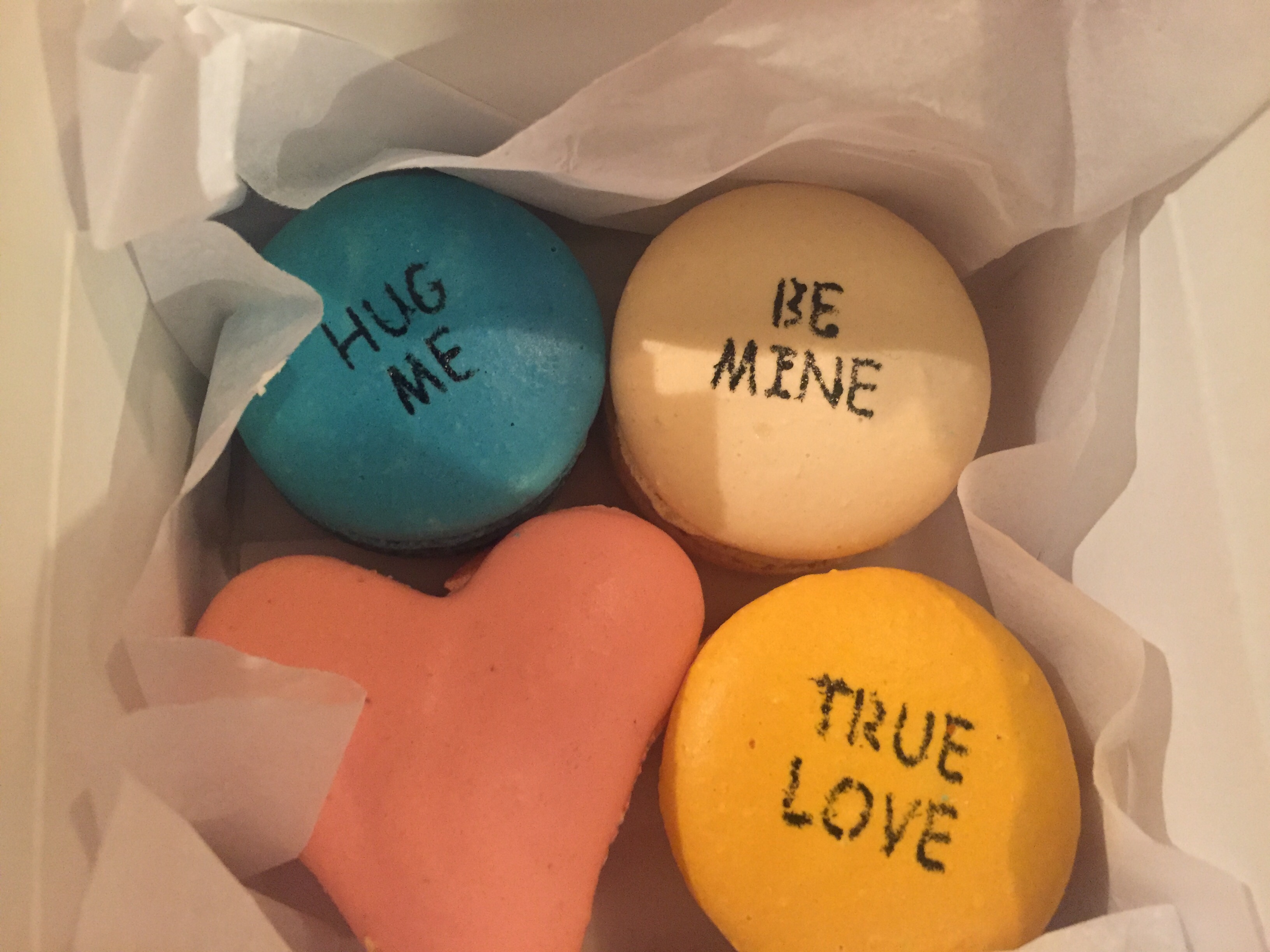 Photo Jan 31, 8 52 19 PM