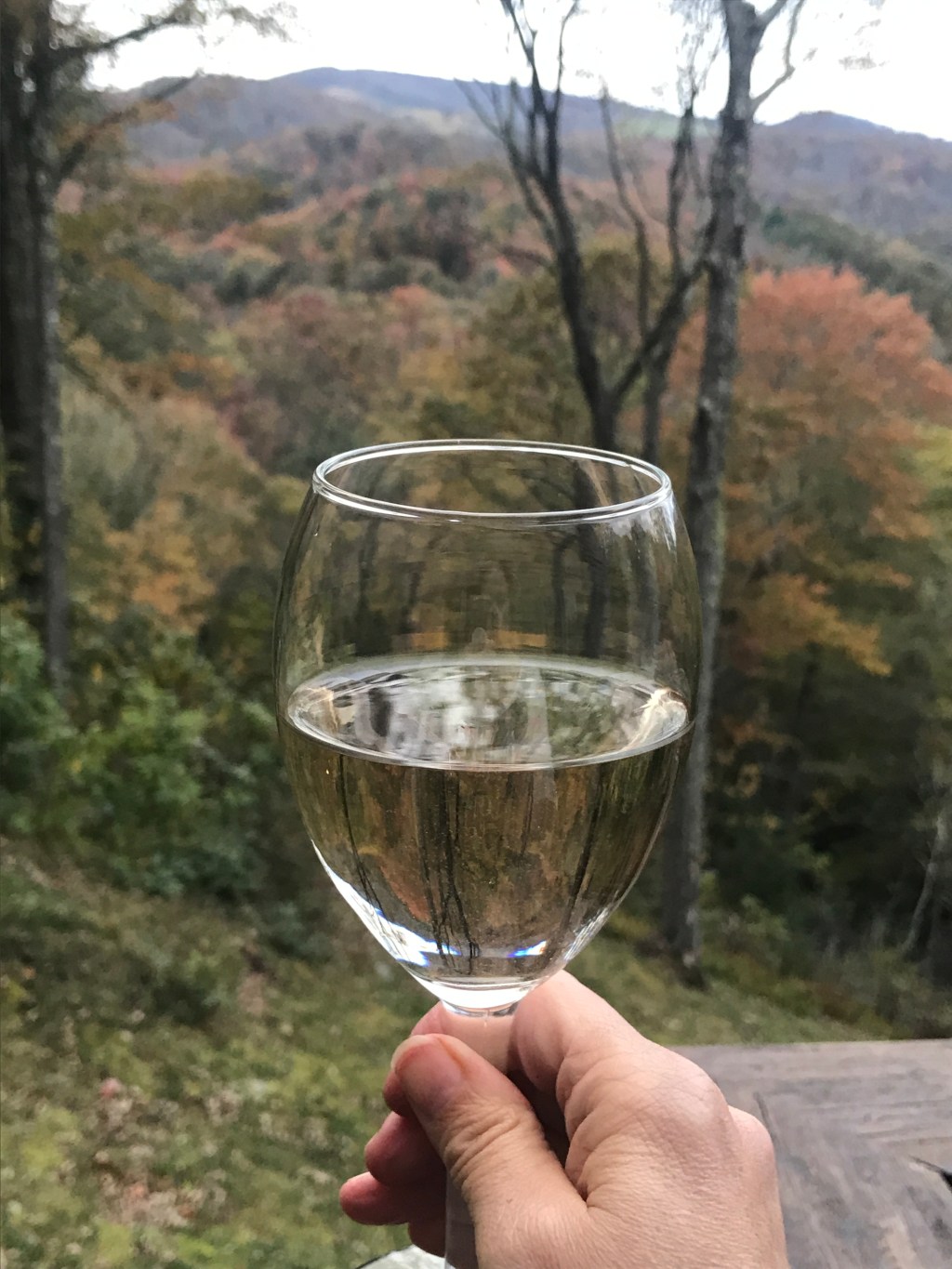 White Pinot Noir Could Be Your New&nbsp;Fave